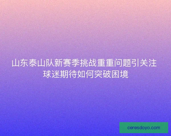 山东泰山队新赛季挑战重重问题引关注 球迷期待如何突破困境