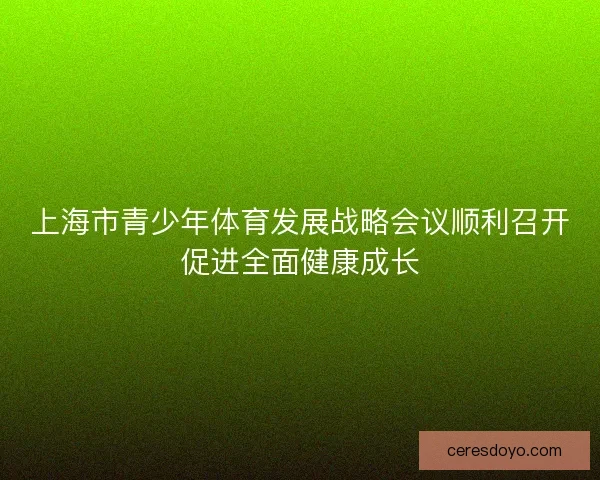 上海市青少年体育发展战略会议顺利召开促进全面健康成长